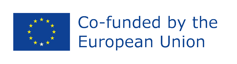 Co-funded by the European Union